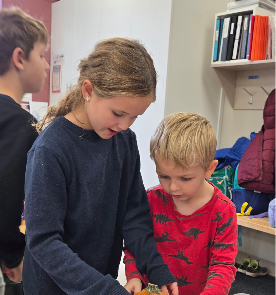 learning buddies