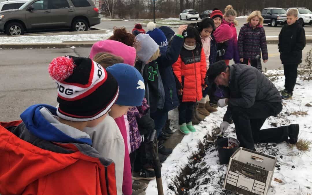 Trinity Plants Flower Bulbs with Bulbs4Kids