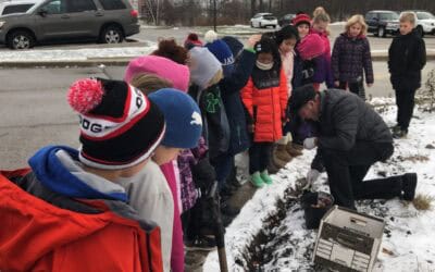 Trinity Plants Flower Bulbs with Bulbs4Kids