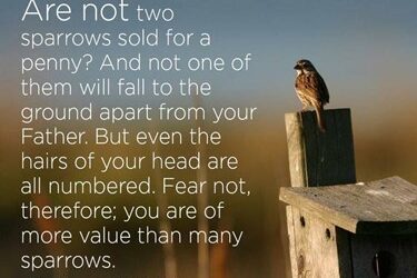 Let go of our worries and the burdens