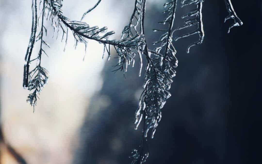 The Importance of Observation