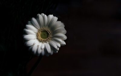 Out of Darkness: Life and Hope