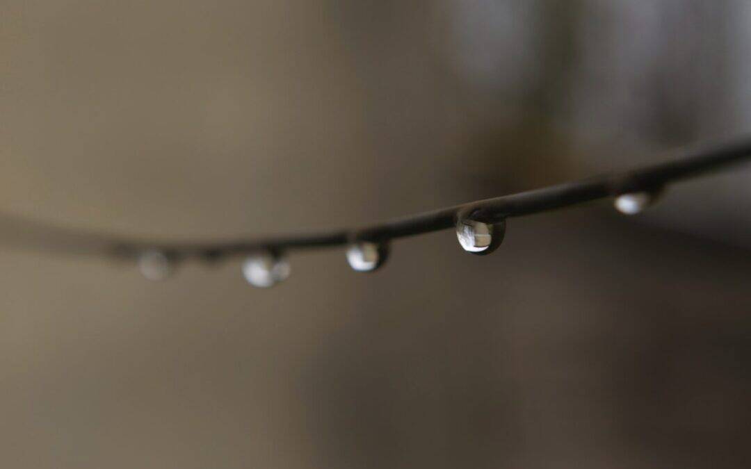 Oil & Dew: Symbols of  Unity