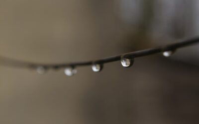 Oil & Dew: Symbols of  Unity