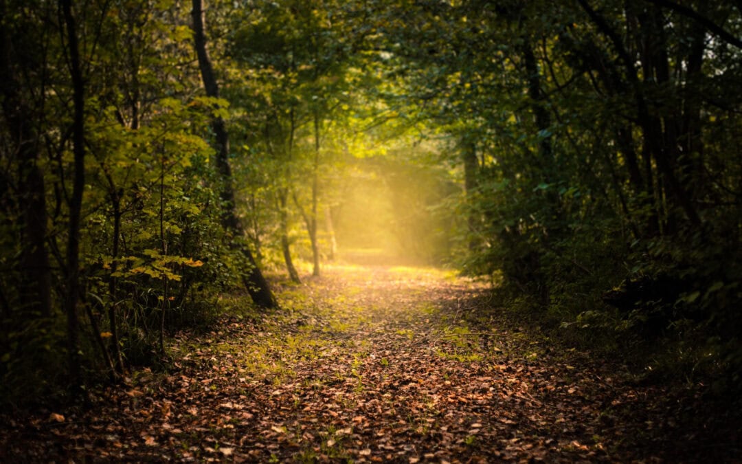 The Interpretation of Integrity 