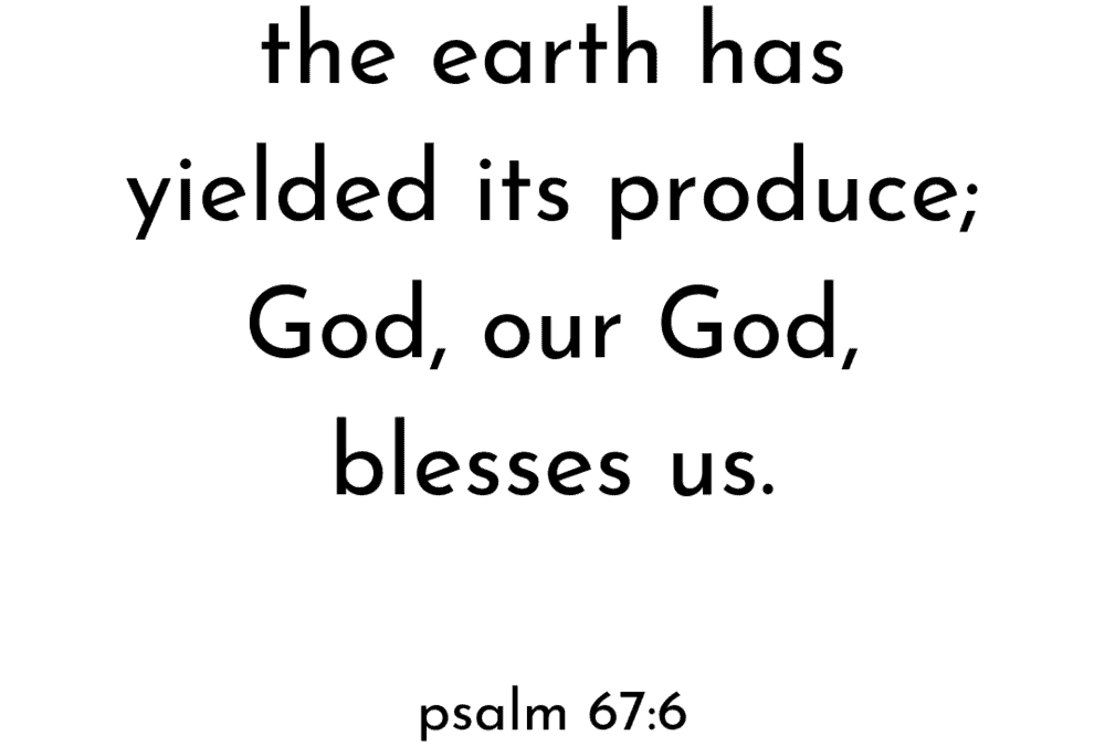 What We Are Thankful For