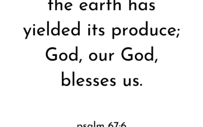 What We Are Thankful For