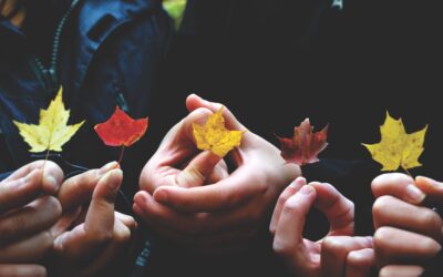 Building Community