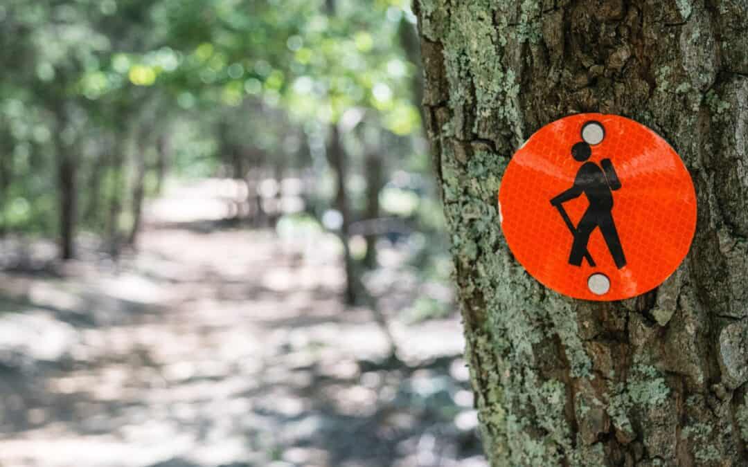 Bruce Trail or Bust – By Audrey McGregor