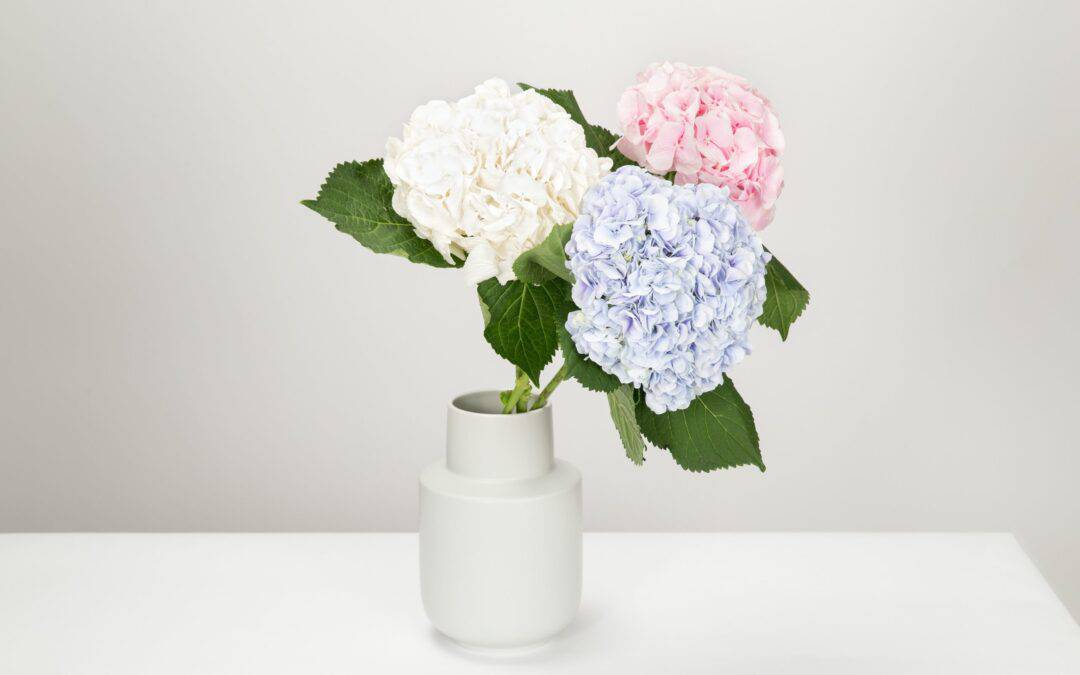 Appreciating Mothers