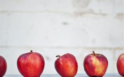 Supply Teaching Opportunities