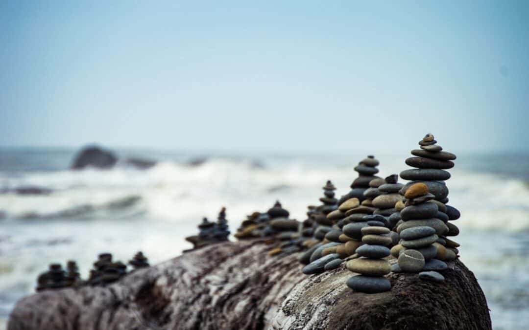 Developing Patience in an Insta-Pot World