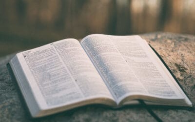 The Power of Storytelling
