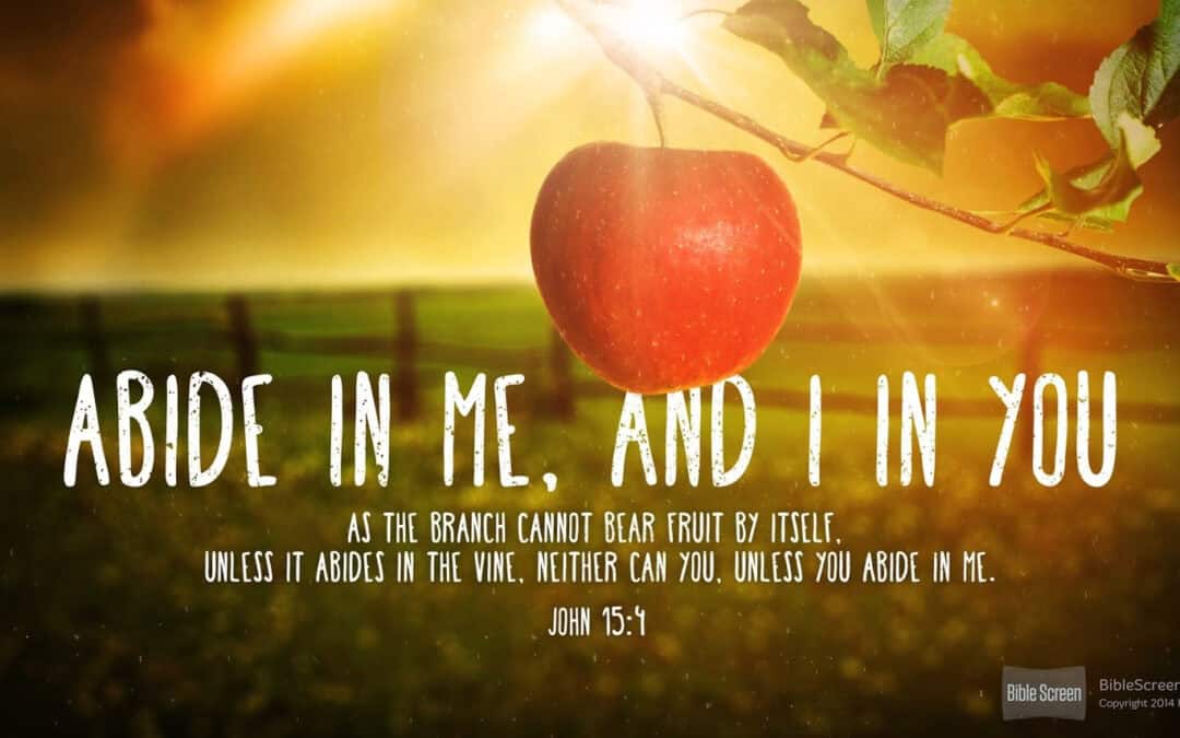 Abiding in the New Year