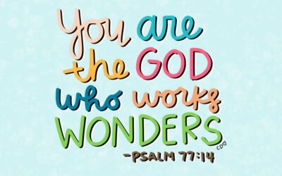 God of Wonders