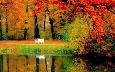 Spending Time in Creation
