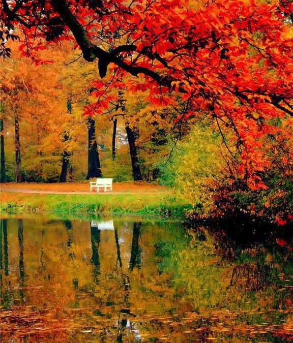 Spending Time in Creation